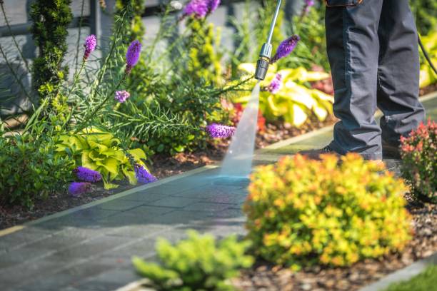 Best Pool Deck Cleaning  in Watchung, NJ