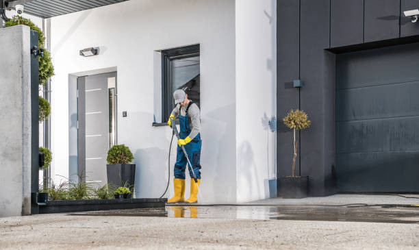 Best Roof Washing  in Watchung, NJ